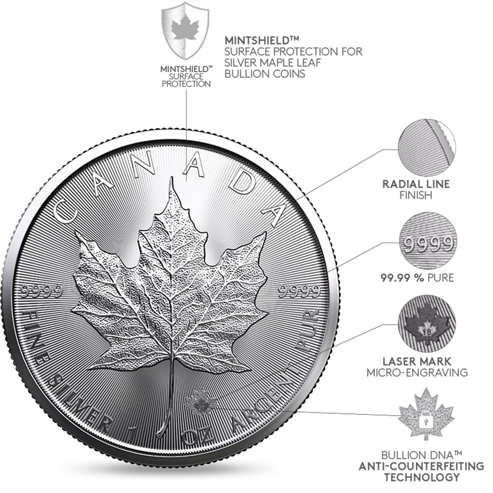 heroblock_bullion-dna_silver-mpl_lg-en